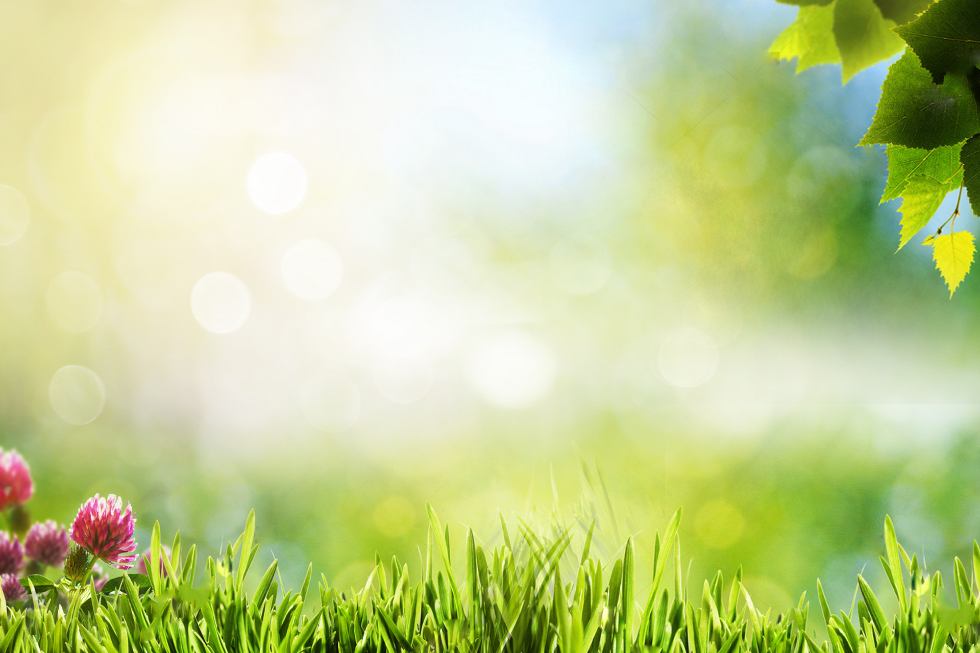 摄图网_500808358_banner.jpg