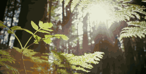 3.gif