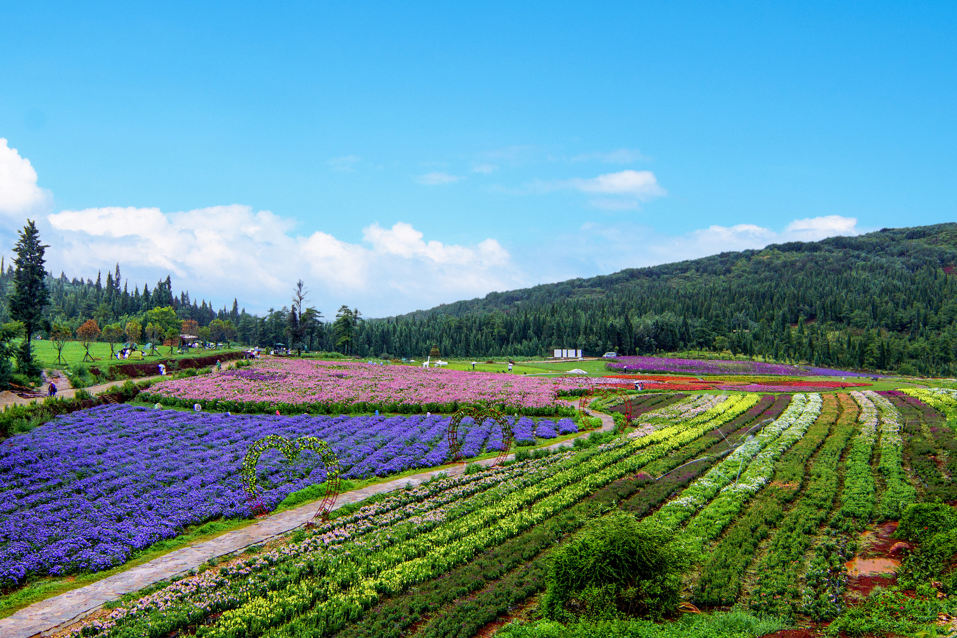 摄图网_501367325_banner_花海（非企业商用）.jpg