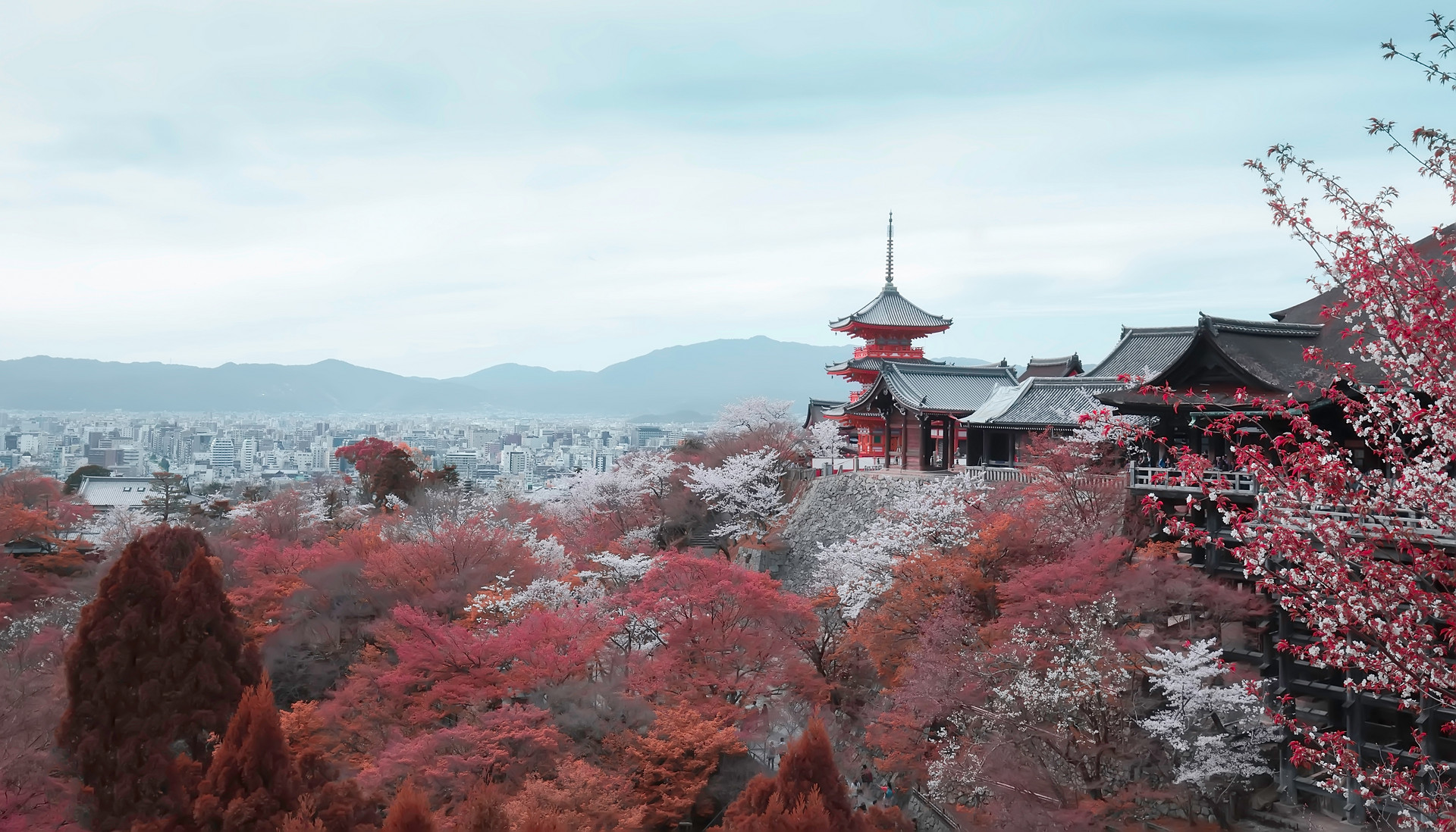 摄图网_500643917_banner_日本京都（非企业商用）.jpg