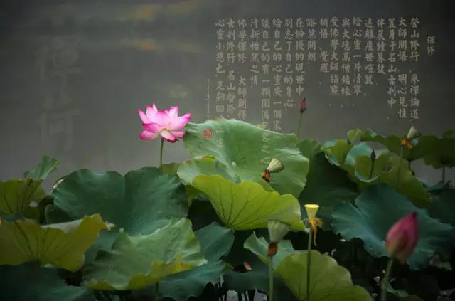 微信图片_20200830090149.jpg