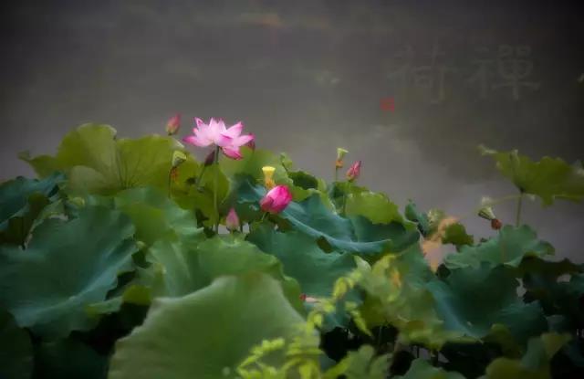 微信图片_20200830090204.jpg