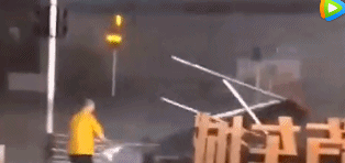 1.gif